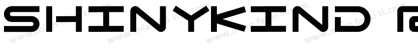 Shinykind Regular字体转换